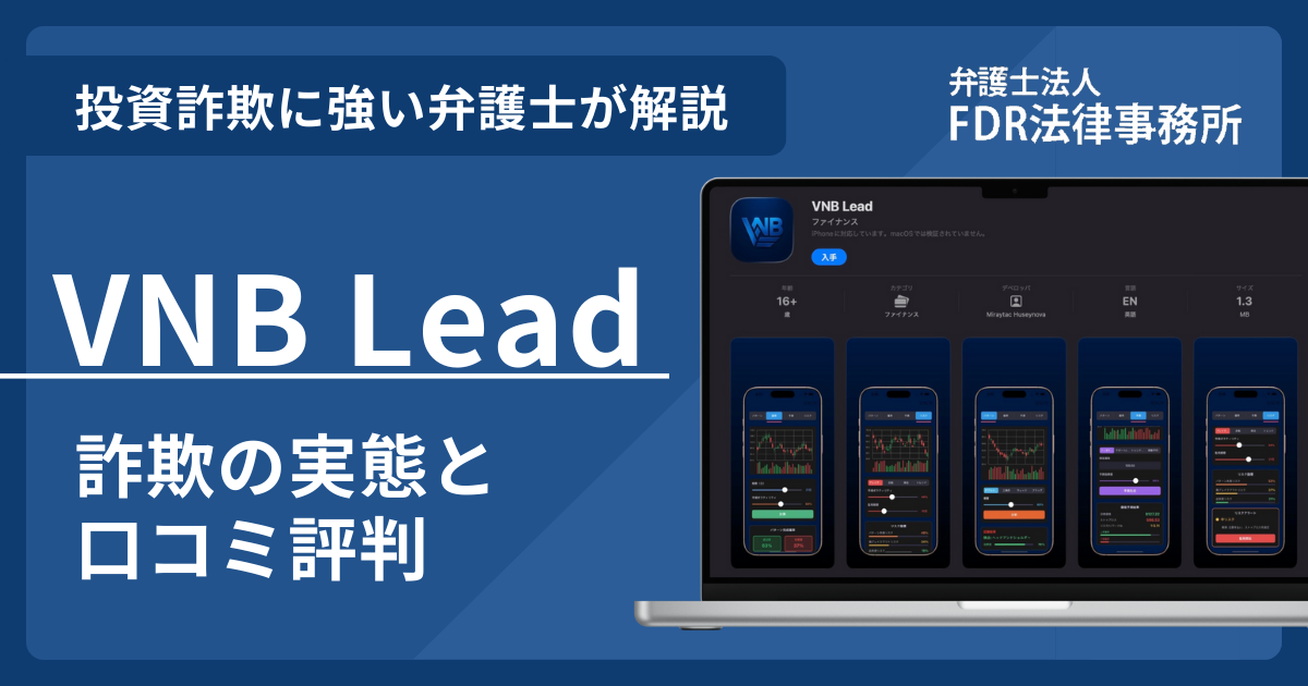 VNB Leadアイキャッチ画像